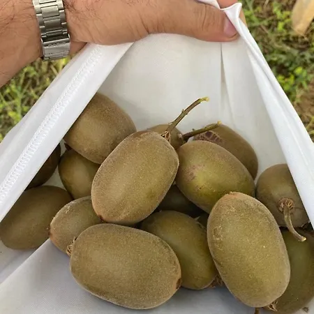 Tenuta Fasanarella ファームステイ